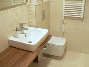 Pronájem bytu 1+kk, Brno, Hybešova, 37 m2