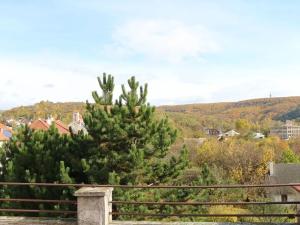 Prodej bytu 6+kk a větší, Brno, 200 m2