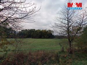 Prodej louky, Petrovice - Žemličkova Lhota, 2513 m2