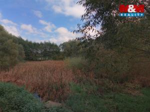 Prodej louky, Petrovice - Žemličkova Lhota, 2513 m2