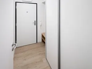 Pronájem bytu 1+kk, Olomouc, Aloise Rašína, 30 m2