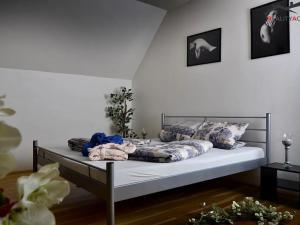 Pronájem rodinného domu, Rozdrojovice, Za Humny, 850 m2