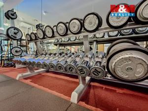 Prodej obchodního prostoru, Praha - Smíchov, Kobrova, 276 m2