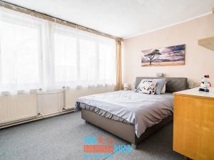 Prodej rodinného domu, Brno, Šimáčkova, 250 m2