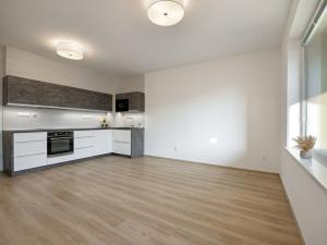 Pronájem bytu 1+kk, Frýdek-Místek - Frýdek, Nové Dvory-Podhůří, 41 m2