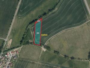 Prodej pole, Horní Ředice, 7349 m2