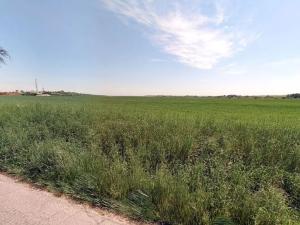 Prodej pole, Mečeříž, 105316 m2