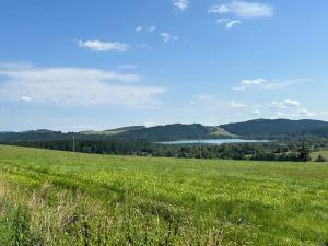 Prodej pozemku pro bydlení, Horní Planá, 4593 m2