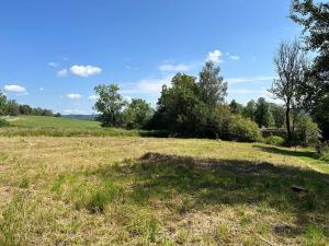 Prodej pozemku pro bydlení, Horní Planá, 4593 m2