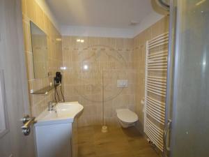 Pronájem bytu 1+kk, Bělá pod Pradědem, 29 m2