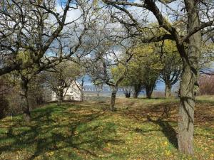 Prodej chaty, Židlochovice, 27 m2