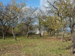 Prodej chaty, Židlochovice, 27 m2