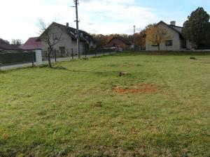 Prodej pozemku, Borovnice - Přestavlky, 3744 m2