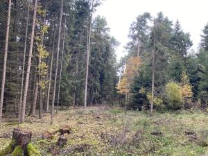 Prodej lesa, Srbice - Těšovice, 2923 m2