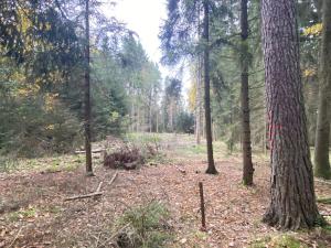 Prodej lesa, Srbice - Těšovice, 2923 m2