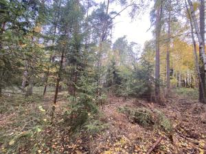 Prodej lesa, Srbice - Těšovice, 2923 m2