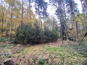 Prodej lesa, Srbice - Těšovice, 2923 m2