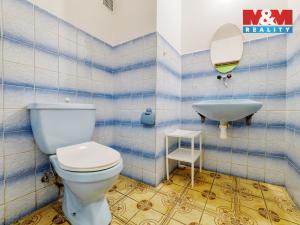 Prodej rodinného domu, Lázně Kynžvart, Vrchlického, 568 m2