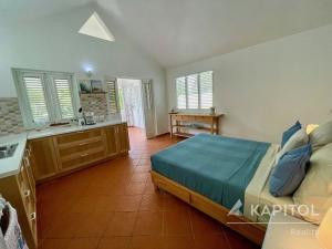 Prodej rodinného domu, Samaná, Dominikánská republika, Calle Jimi Hendrix, 102 m2