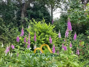 Pronájem rodinného domu, Čím, 110 m2