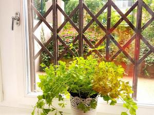 Pronájem bytu 1+kk, Praha - Bubeneč, Milady Horákové, 38 m2