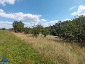 Prodej pozemku pro bydlení, Libňatov, 1680 m2