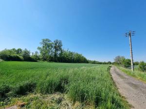 Prodej pozemku, Osek nad Bečvou, 11081 m2