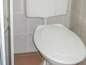 Pronájem obchodního prostoru, Brno, Cihlářská, 29 m2