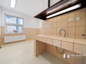 Prodej ordinace, Nová Paka, Harantova, 134 m2