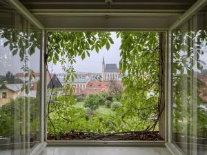 Prodej ubytování, Český Krumlov, Horská, 469 m2