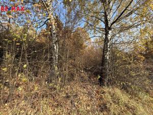 Prodej pozemku, Hošťálková, 1781 m2