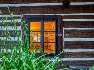 Prodej vícegeneračního domu, Dalečín, 536 m2