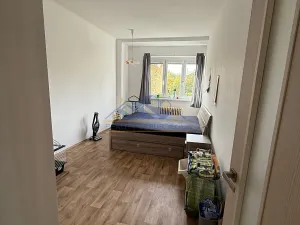 Prodej bytu 1+1, Praha - Braník, Na Mlejnku, 52 m2