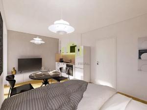 Prodej bytu 1+kk, Lipník nad Bečvou, Mánesova, 25 m2