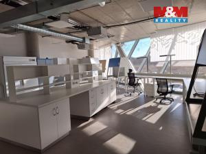 Pronájem komerční nemovitosti, Zlatníky-Hodkovice - Hodkovice, Inovační, 70 m2