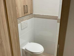 Prodej bytu 1+kk, Opava - Předměstí, Alšova, 20 m2