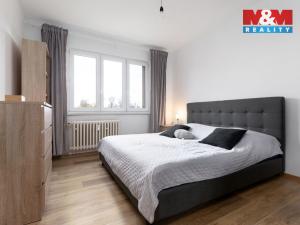 Prodej bytu 2+1, Ostrava - Hrabůvka, Klegova, 54 m2