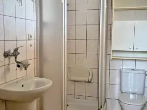 Prodej vícegeneračního domu, Ostřešany, 143 m2