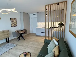 Pronájem bytu 1+kk, Brno, Bystrcká, 30 m2