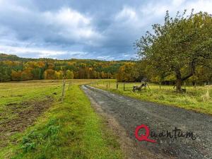 Prodej ubytování, Ždírec, 336 m2