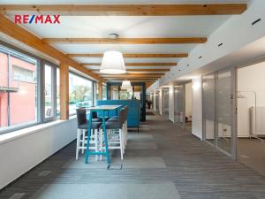 Pronájem kanceláře, Praha - Hodkovičky, Pod kopcem, 117 m2