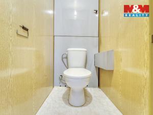 Pronájem bytu 1+1, Horní Bříza, Komenského, 39 m2