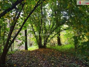 Prodej pozemku pro bydlení, Benešov, 1535 m2