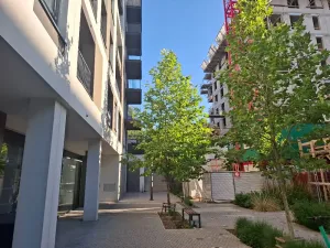 Pronájem bytu 3+kk, Praha - Žižkov, Olgy Havlové, 71 m2