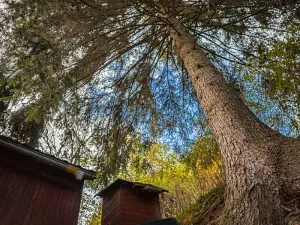 Prodej chaty, Heroltice, 40 m2