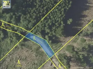 Dražba pozemku, Kladruby nad Labem, 698 m2