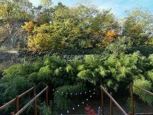 Pronájem bytu 1+kk, Praha - Bubeneč, Mlýnská, 53 m2