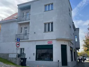 Prodej bytu 5+kk, Praha - Střešovice, Nad hradním vodojemem, 173 m2