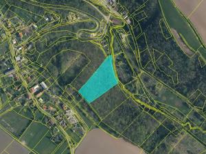 Dražba lesa, Kovanec, 12031 m2