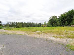 Prodej komerčního pozemku, Jesenice, Rekreační, 10738 m2